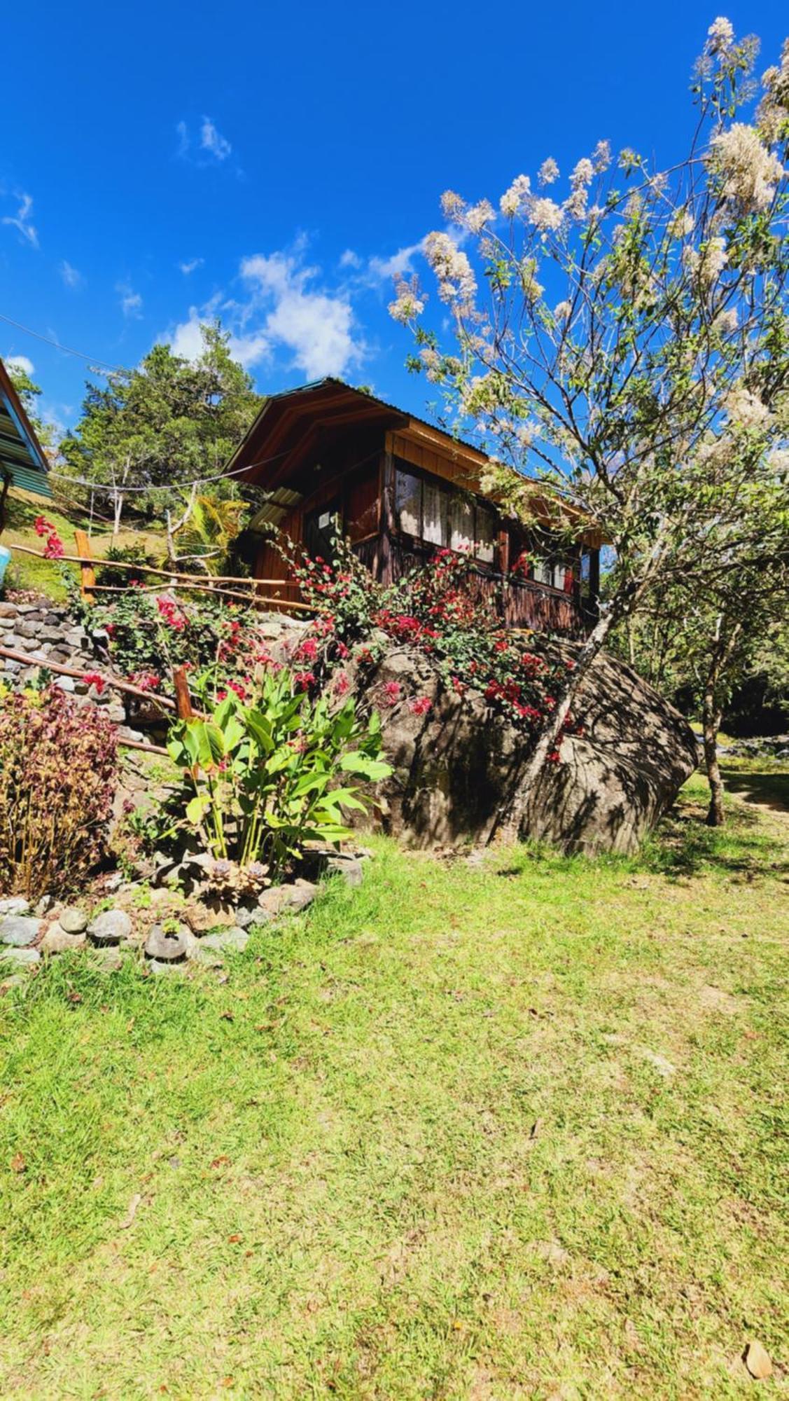 Hospedajes Richie Eco Camp Providencia Dış mekan fotoğraf