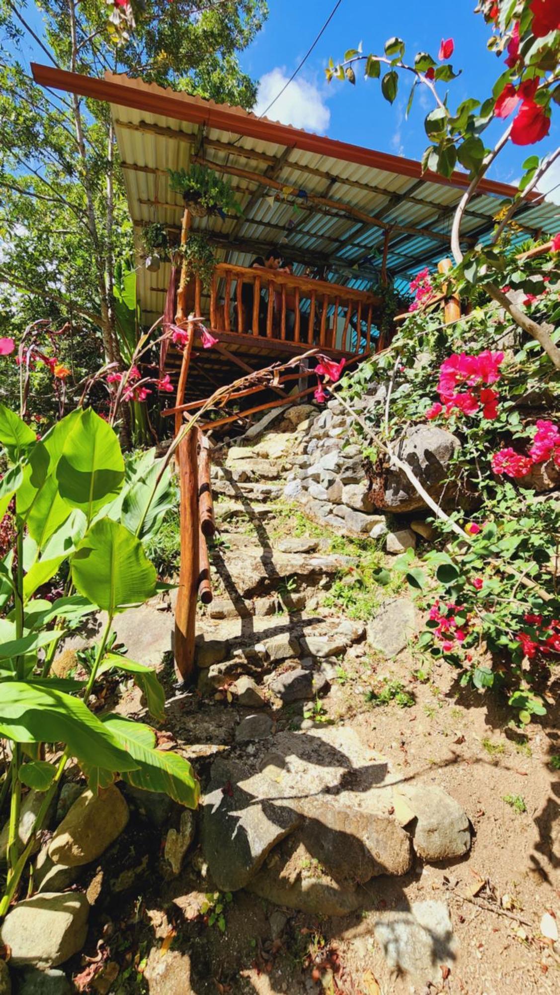 Hospedajes Richie Eco Camp Providencia Dış mekan fotoğraf