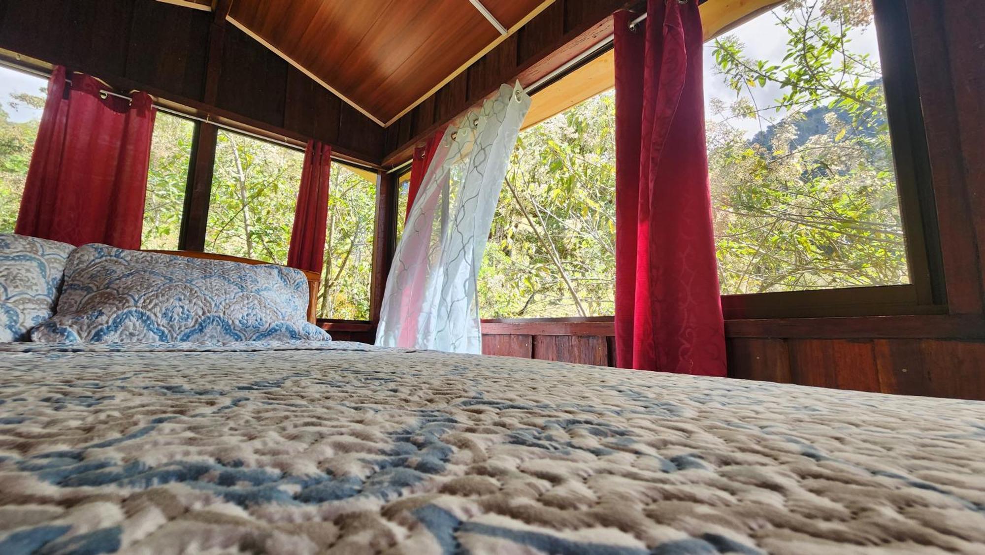 Hospedajes Richie Eco Camp Providencia Dış mekan fotoğraf