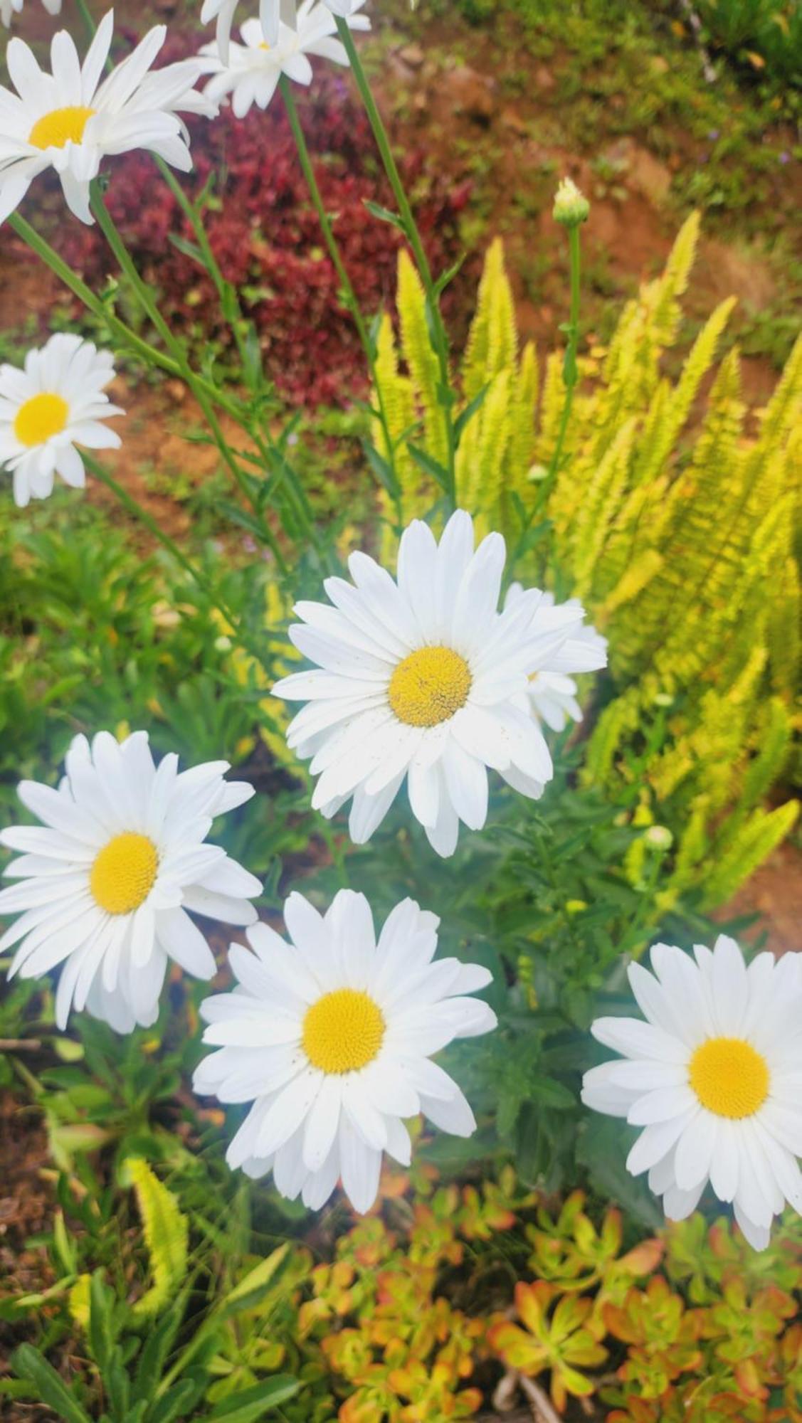 Hospedajes Richie Eco Camp Providencia Dış mekan fotoğraf