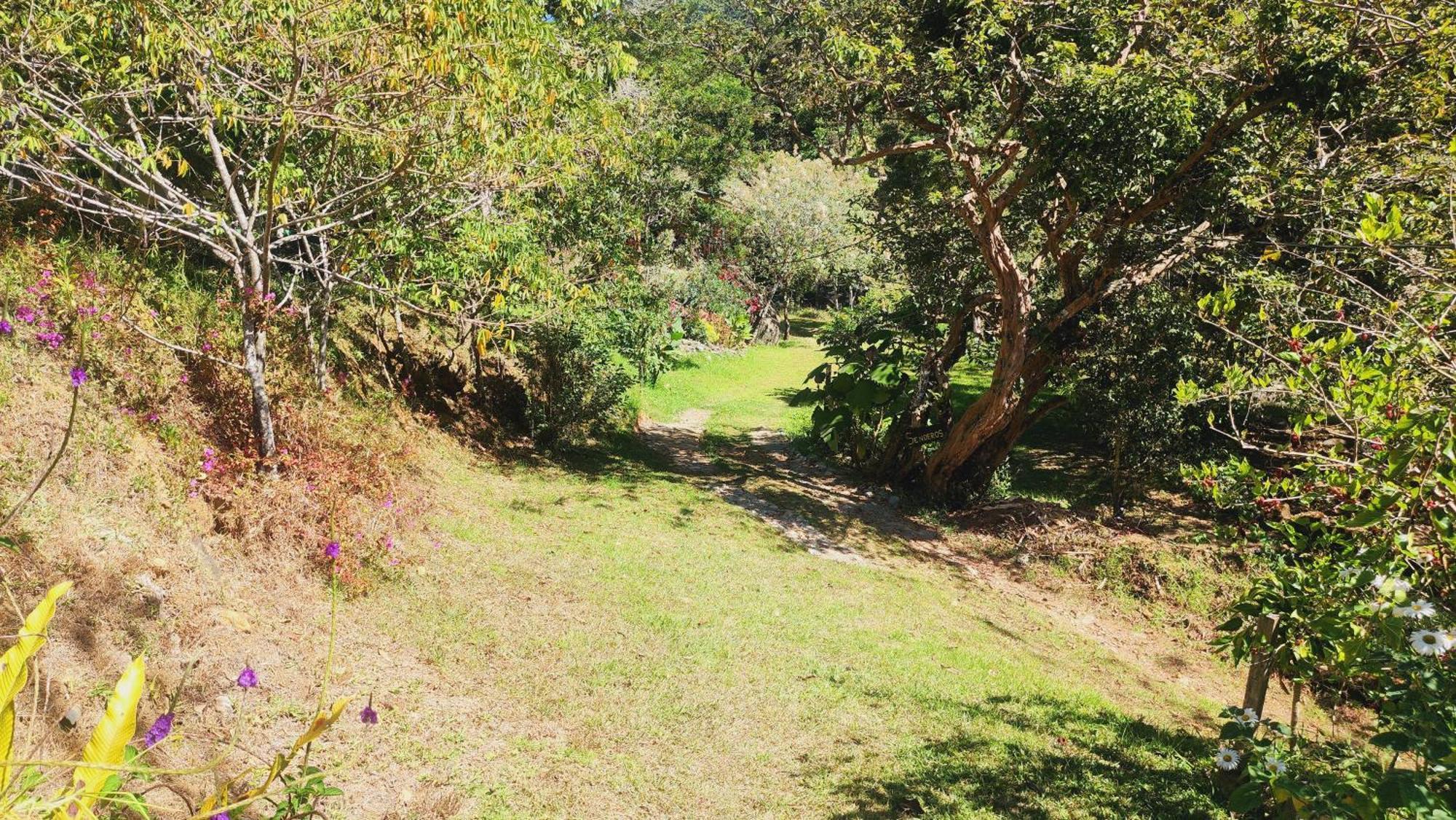 Hospedajes Richie Eco Camp Providencia Dış mekan fotoğraf