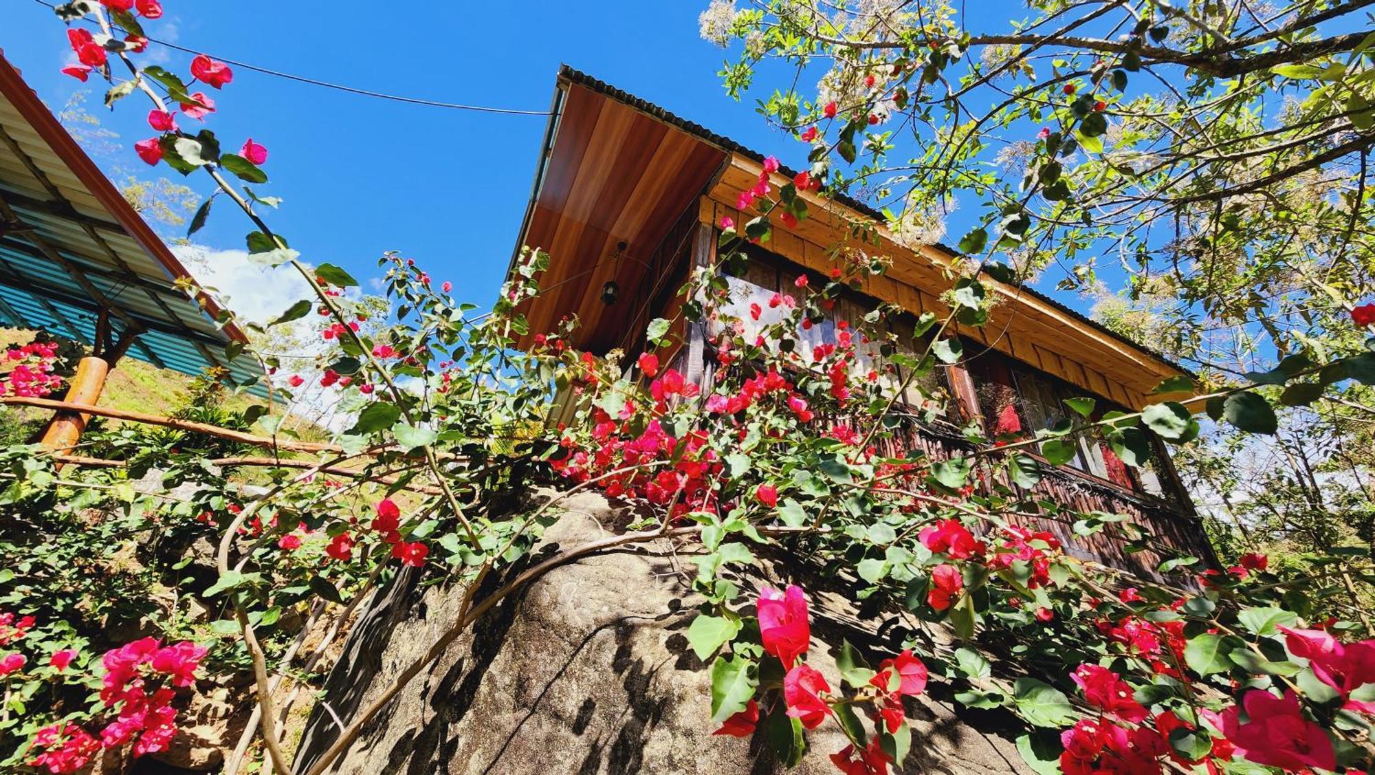 Hospedajes Richie Eco Camp Providencia Dış mekan fotoğraf
