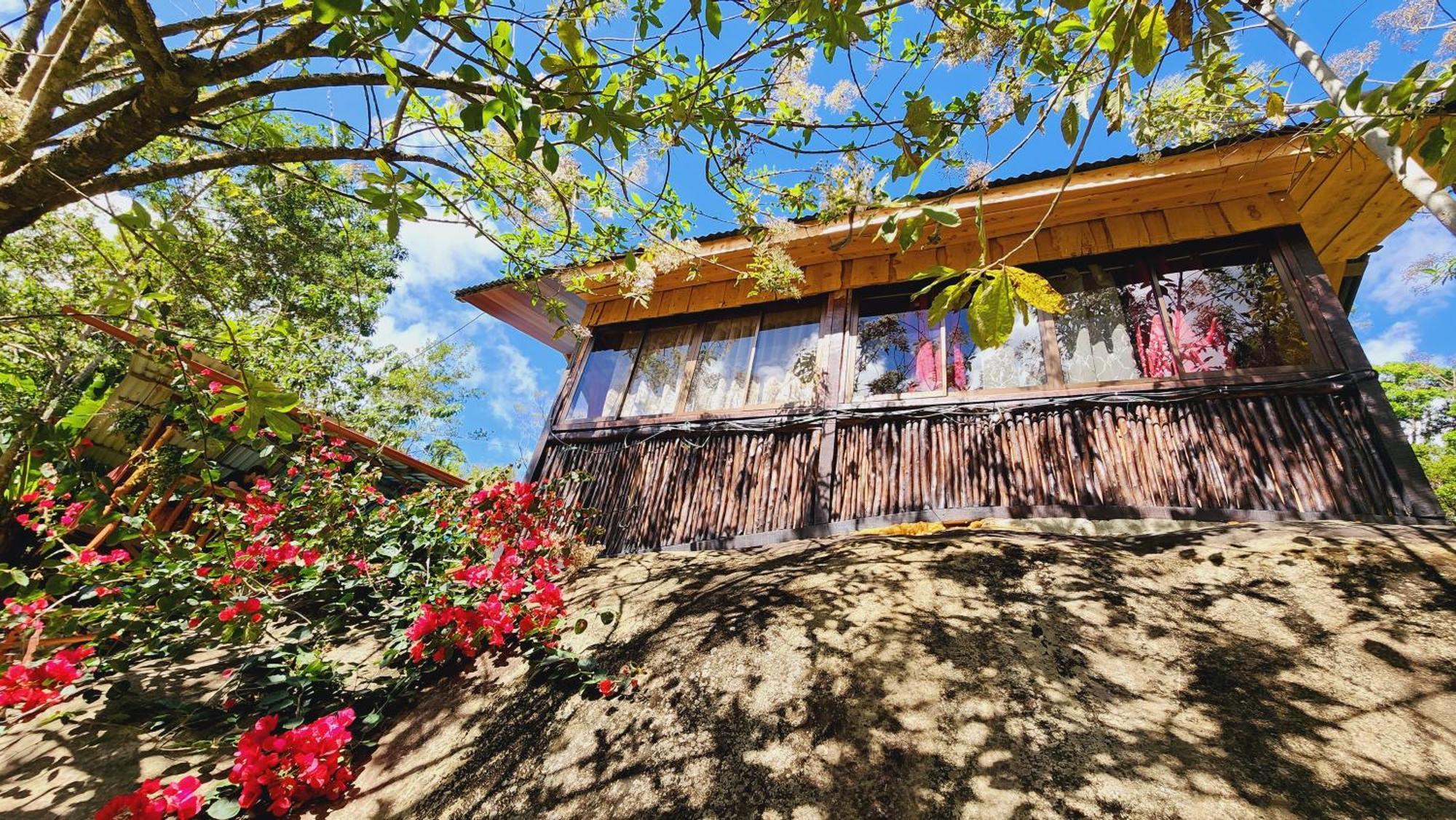 Hospedajes Richie Eco Camp Providencia Dış mekan fotoğraf